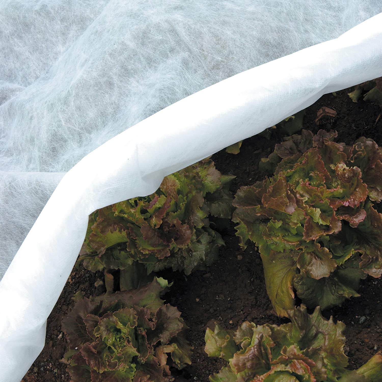 Telo TNT antigelo antibrina rotolo da 250 mt Agrithermo Brixo